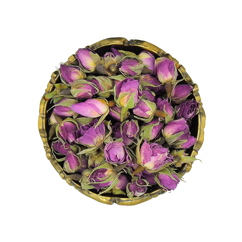 غنچه گل محمدی